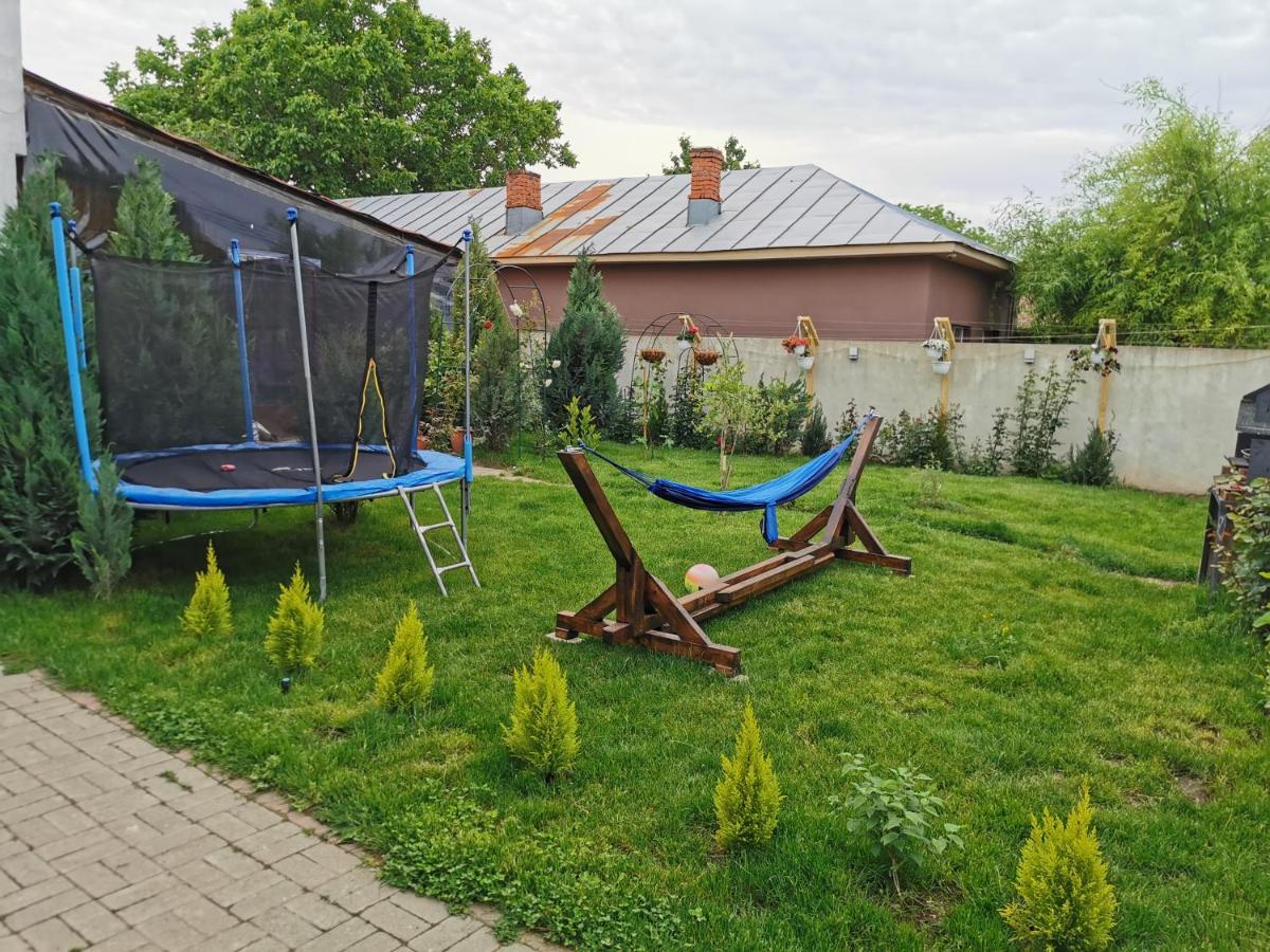 Dnt House &spa Guest house Circea