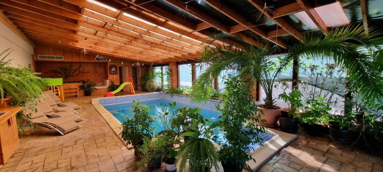 Dnt House &spa Guest house