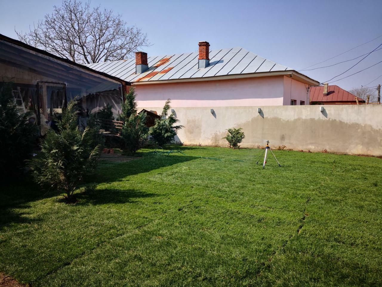 Guest house Dnt House &spa Circea